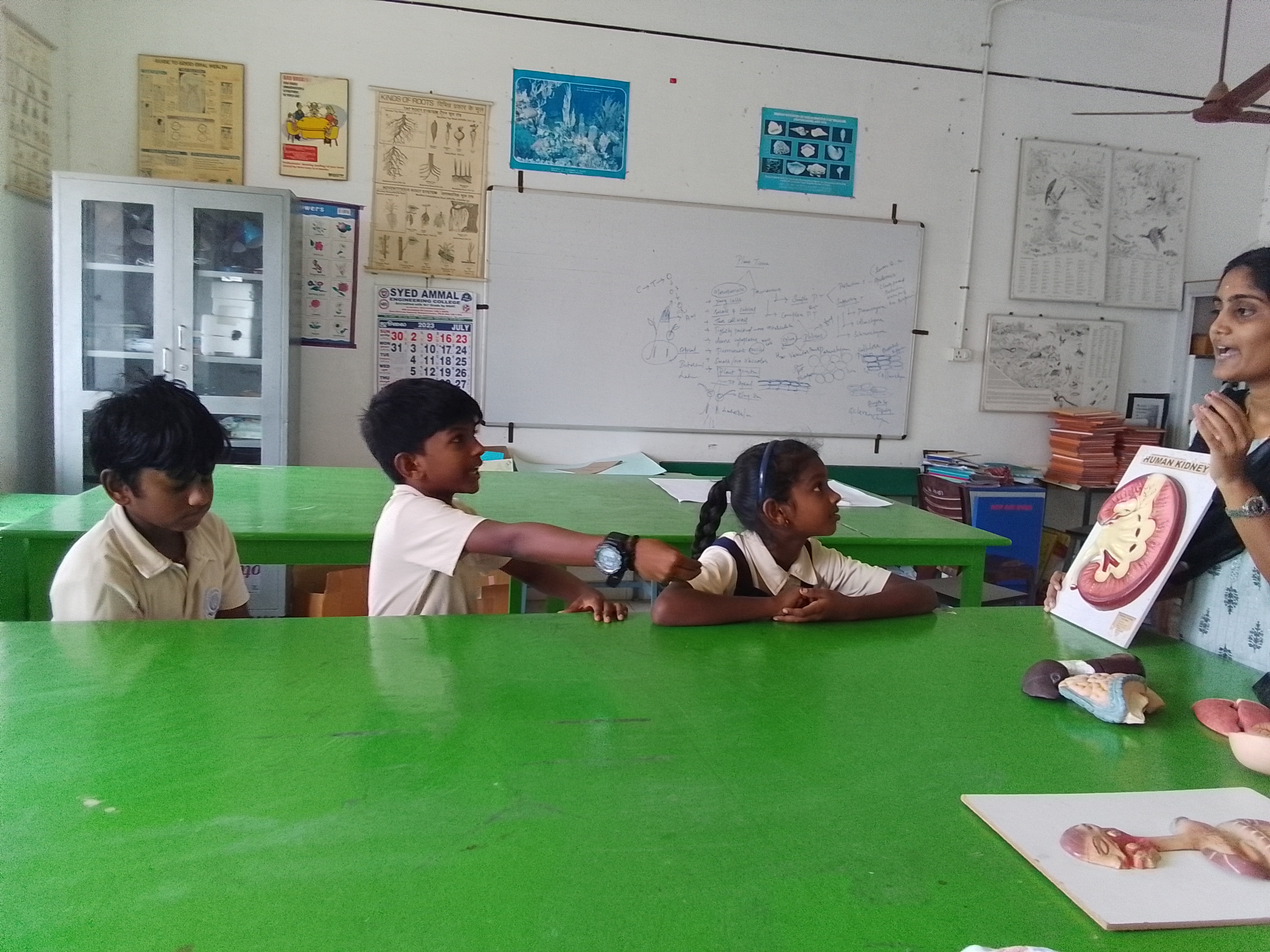 Curiosity about How Things Work