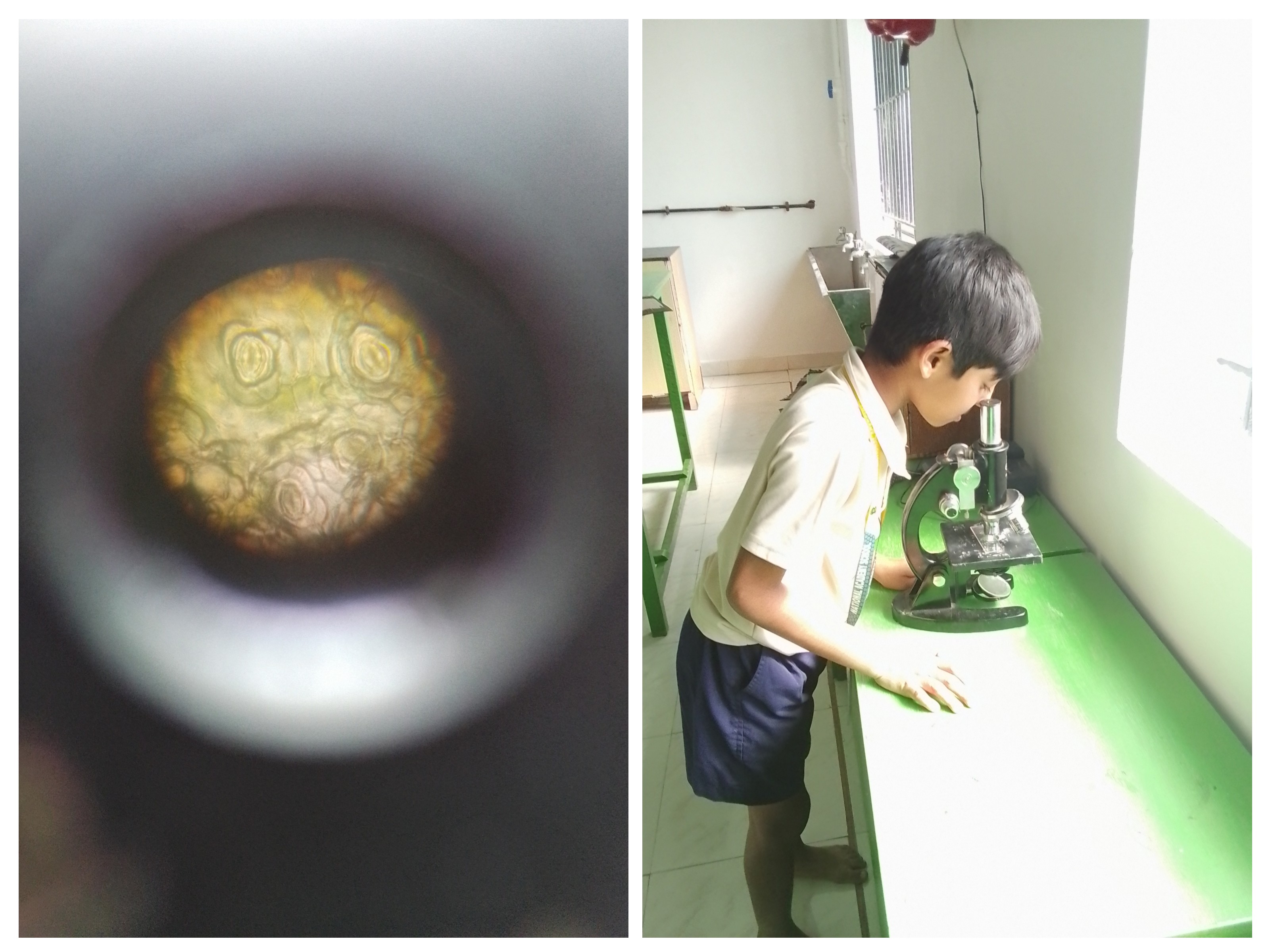 Use of Technology as a Tool